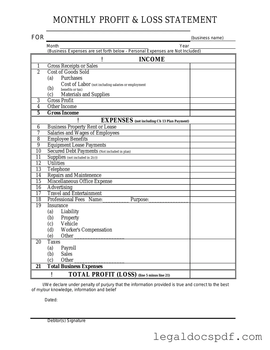 Fill Out Your Profit And Loss Form